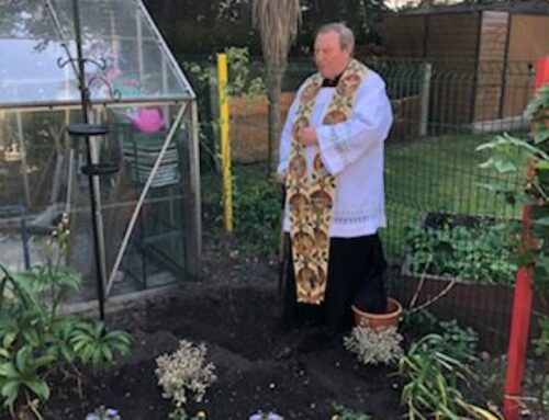 Rector blesses Rufford CE Schools Post-Covid Tree of Hope.