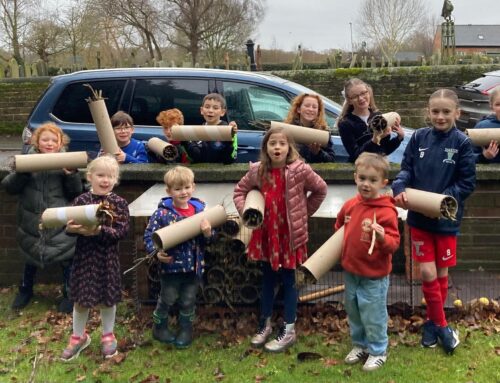 Name needed for Bug Hotel