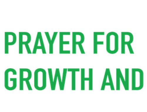 The Diocesan Year of Prayer for Growth & Renewal – our response