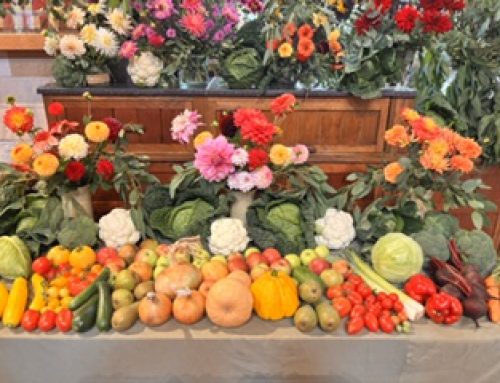 Harvest Festival
